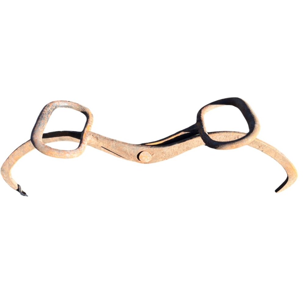 Vintage Ice Tongs - Picture 2 of 5